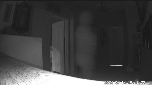 Finally caught our house ghost…